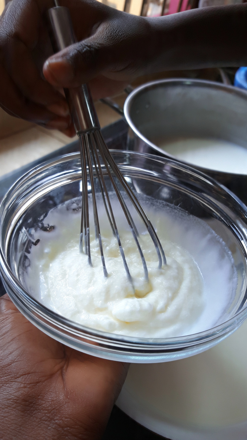 Adding starter yoghurt to warm milk